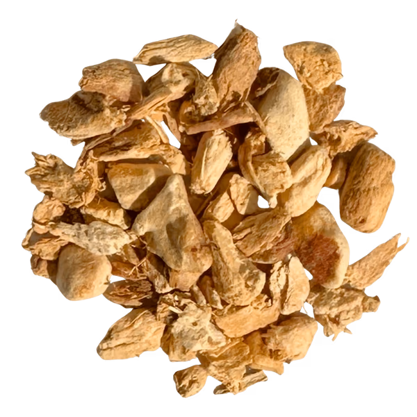 Thai Ginger Root