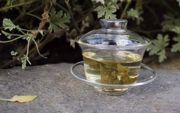 Glass gaiwan