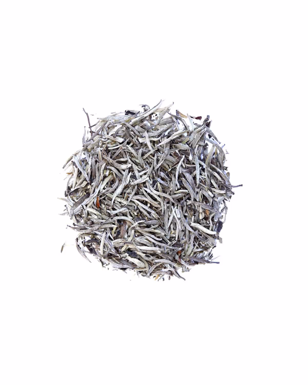 Yin Zhen (Silver Needle) White Tea