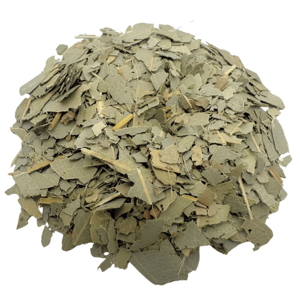 Eucalyptus Tea