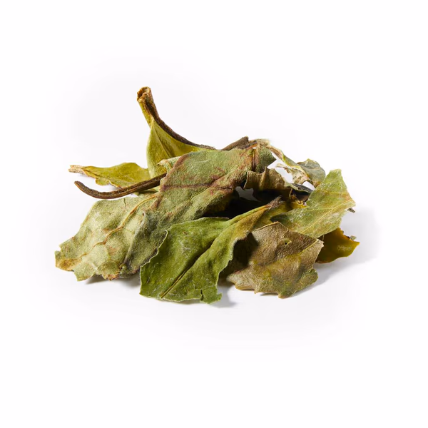 White Peony - Loose Leaf Tea