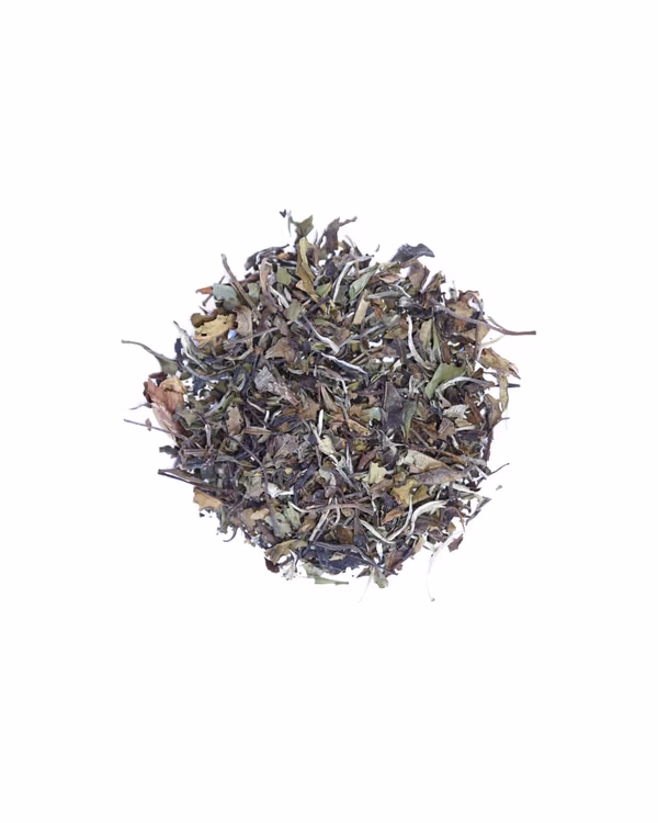 Pai Mu Tan White Tea