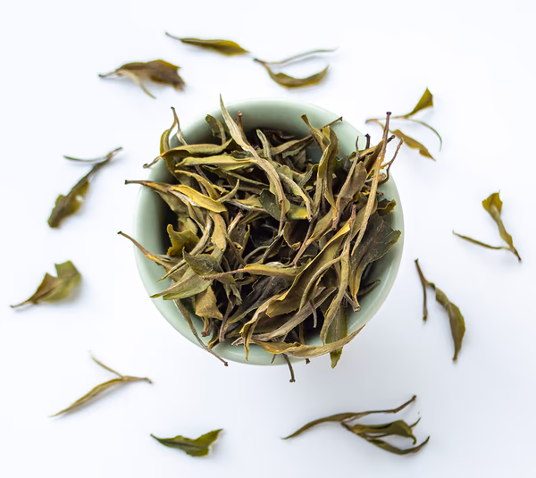 White Peony (Bai Mu Dan)
