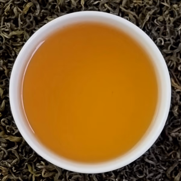 Darjeeling Green 2024