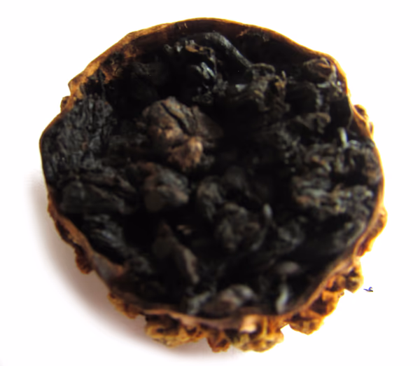 China Fujian Anxi Heavy Roasted Tie Guan Yin Oolong Tea in Bitter Melon