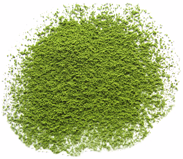 Japan Yame Kuma 'Okumidori' Matcha