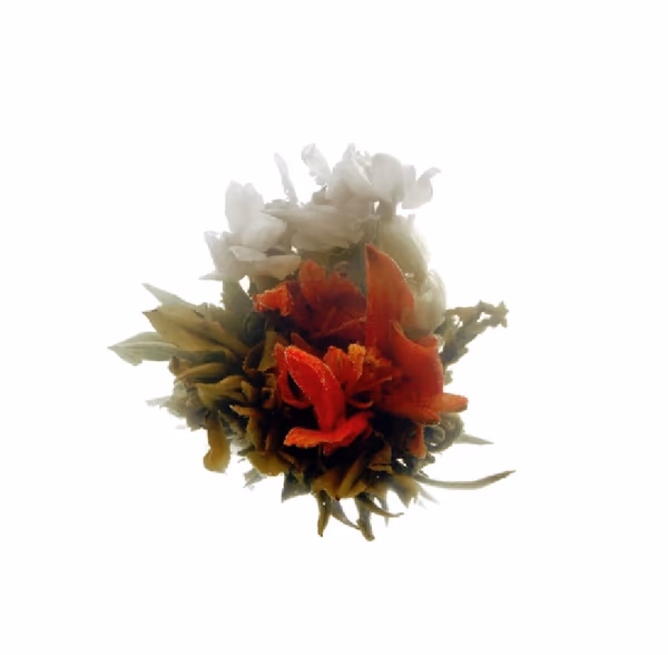 Blooming Tea – Family Fortune